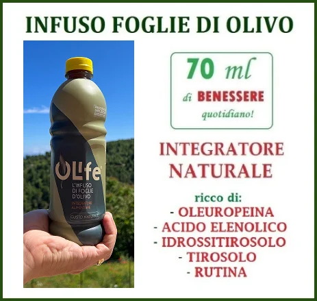 infuso foglie di olivo